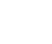 FSS Logo